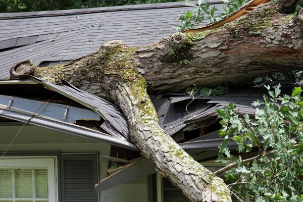 Storm Remediation in Lilburn