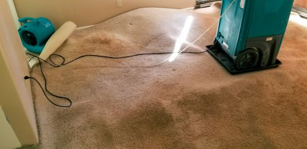 Carpet Water Extraction in Lilburn