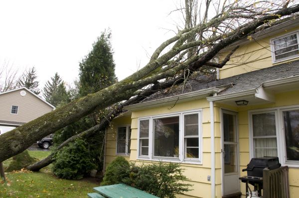 Storm Damage Mitigation in Lilburn
